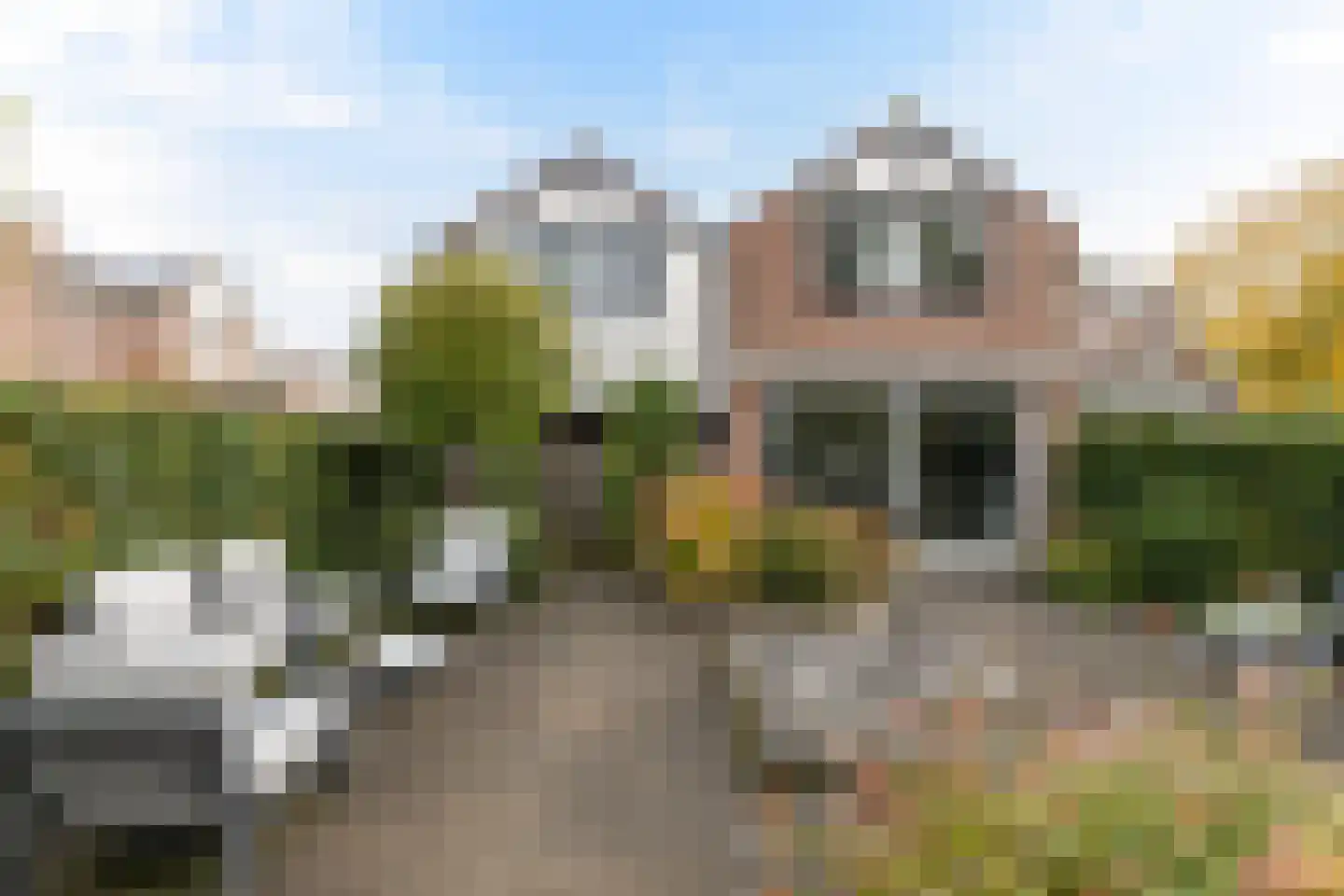 Haanderik 170 IJsselstein thumbnail 12