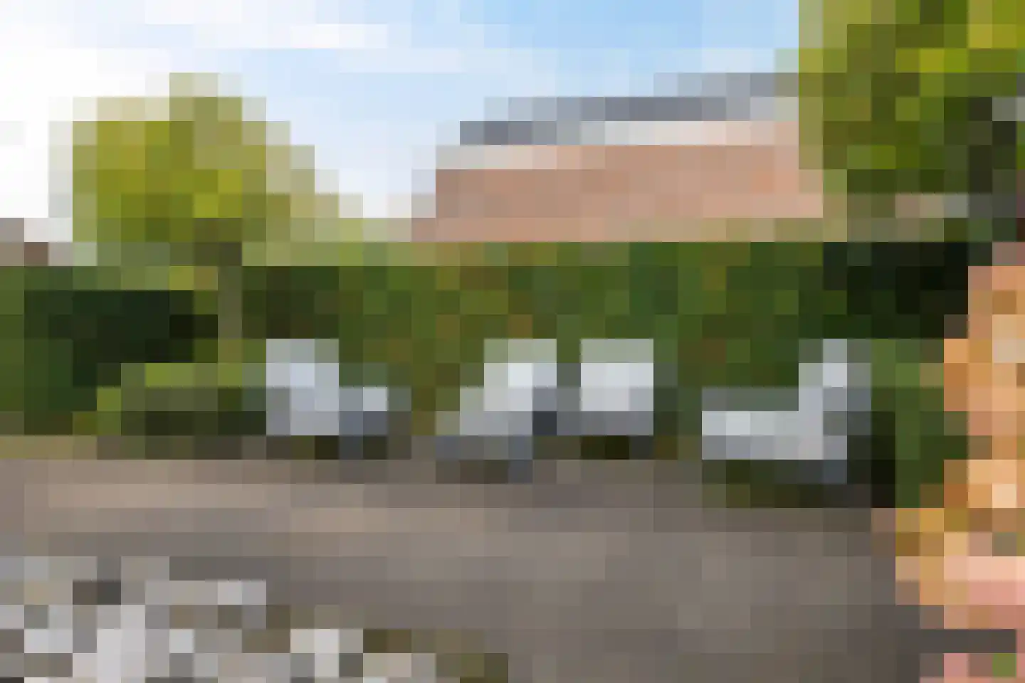 Haanderik 170 IJsselstein thumbnail 18