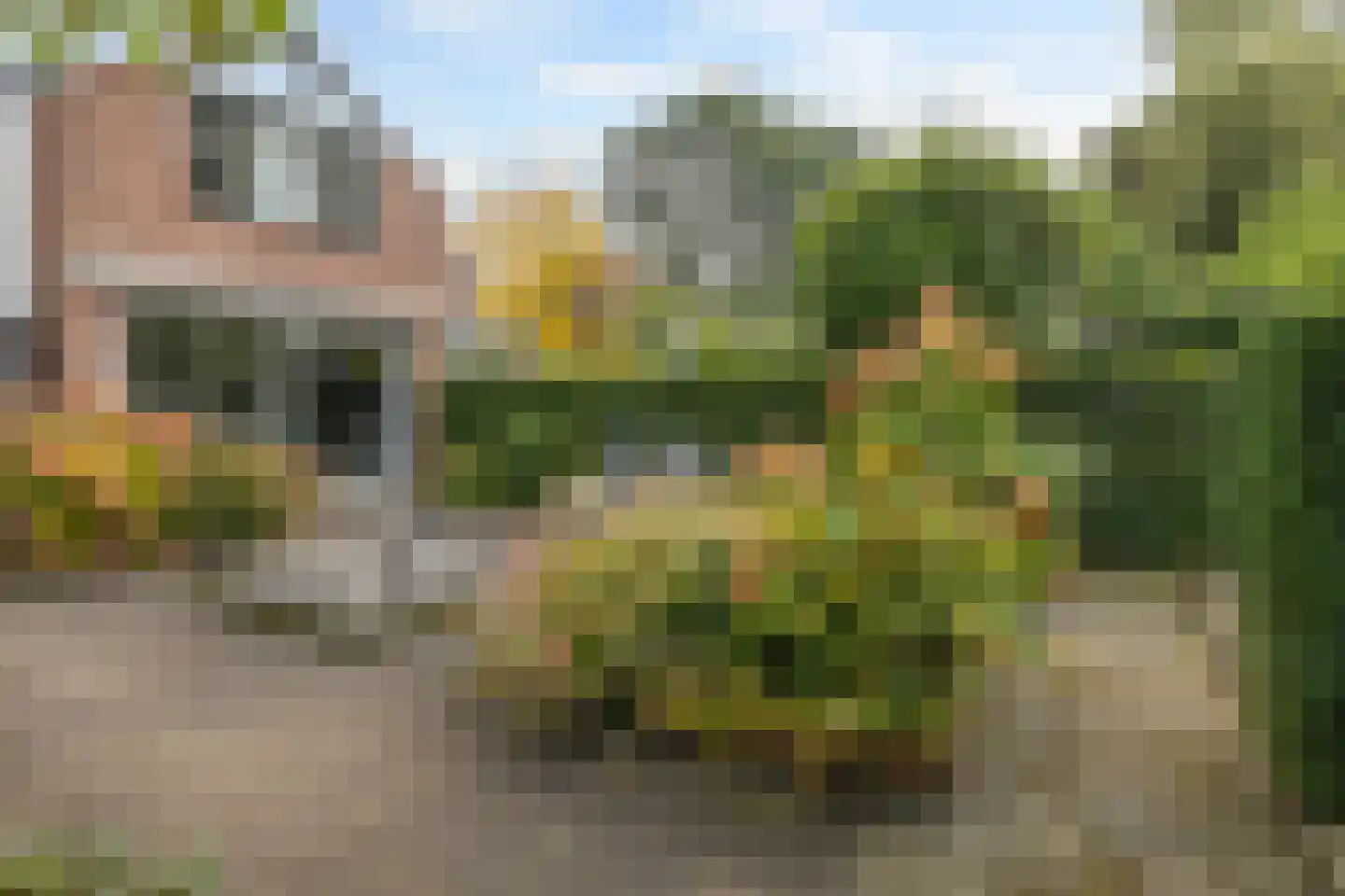 Haanderik 170 IJsselstein thumbnail 20