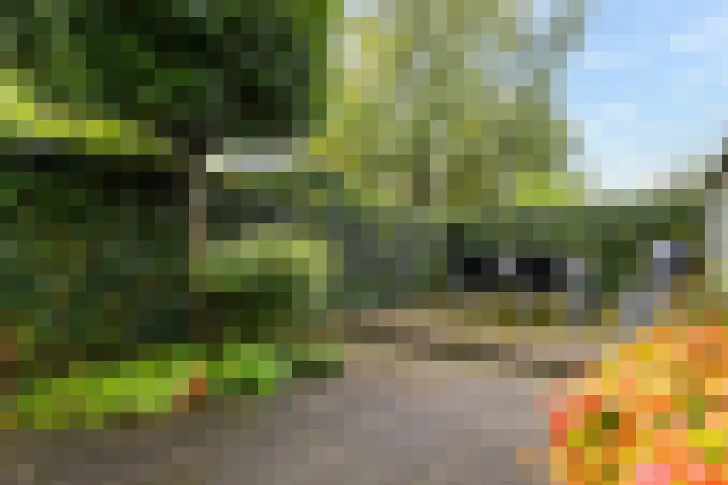 Haanderik 170 IJsselstein thumbnail 21
