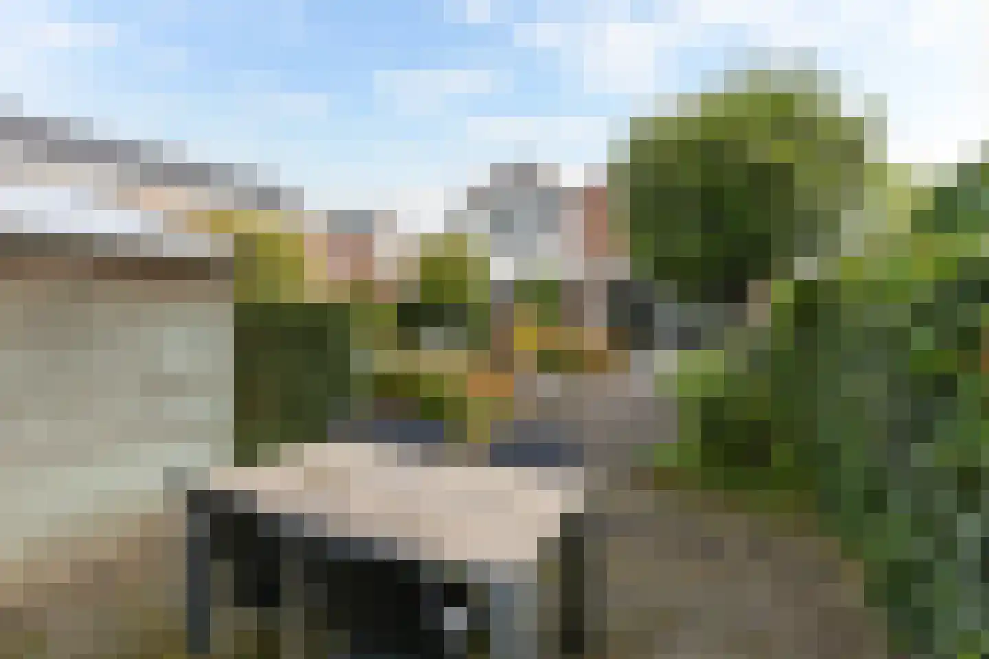 Haanderik 170 IJsselstein thumbnail 22