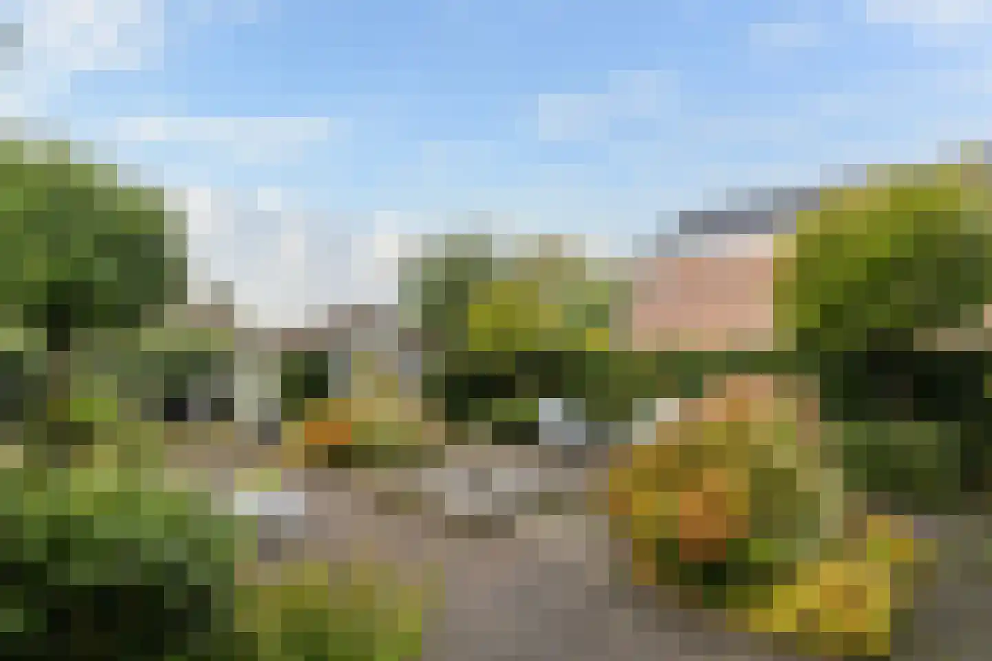 Haanderik 170 IJsselstein thumbnail 6