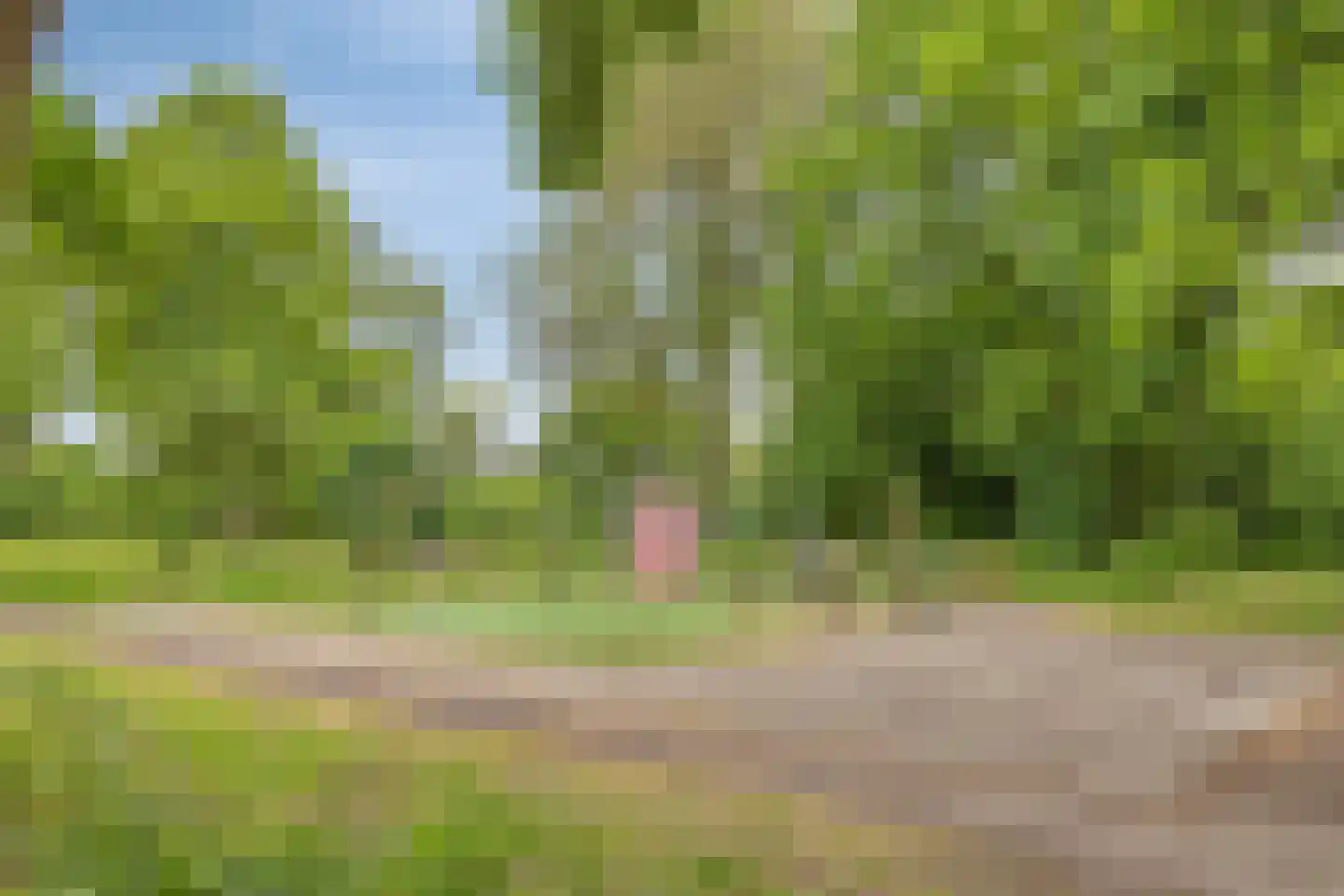 Haanderik 216 IJsselstein thumbnail 37