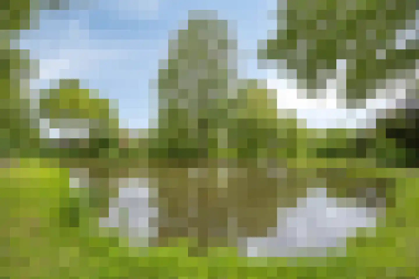 Haanderik 216 IJsselstein thumbnail 38