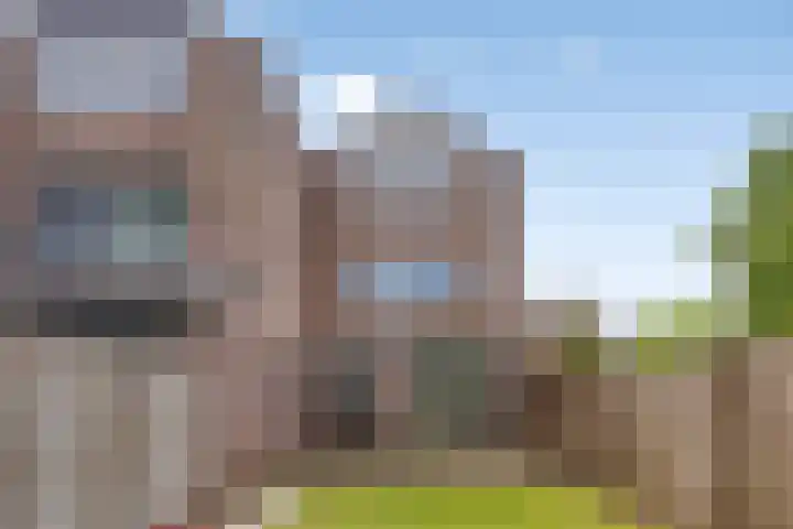 Haanderik 64 IJsselstein thumbnail 30