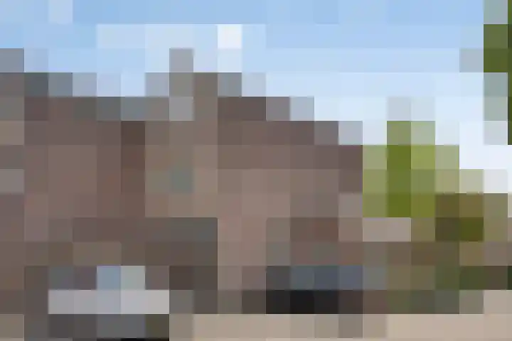 Haanderik 64 IJsselstein thumbnail 31