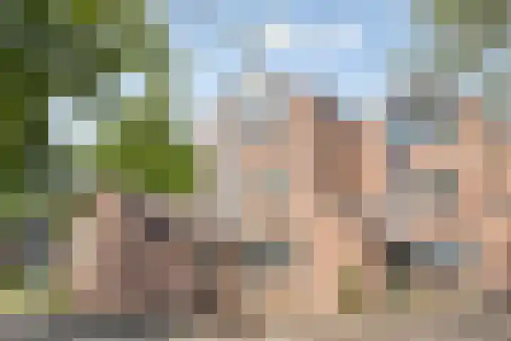 Haanderik 64 IJsselstein thumbnail 34