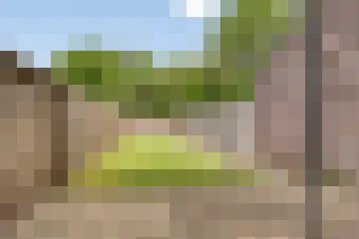 Haanderik 64 IJsselstein thumbnail 5