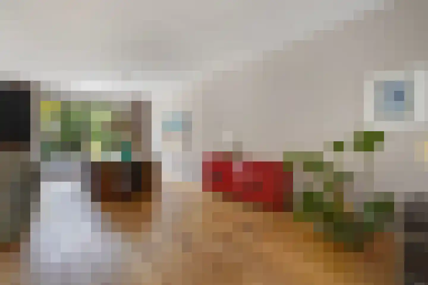Haanplein 23 Den Haag thumbnail 12