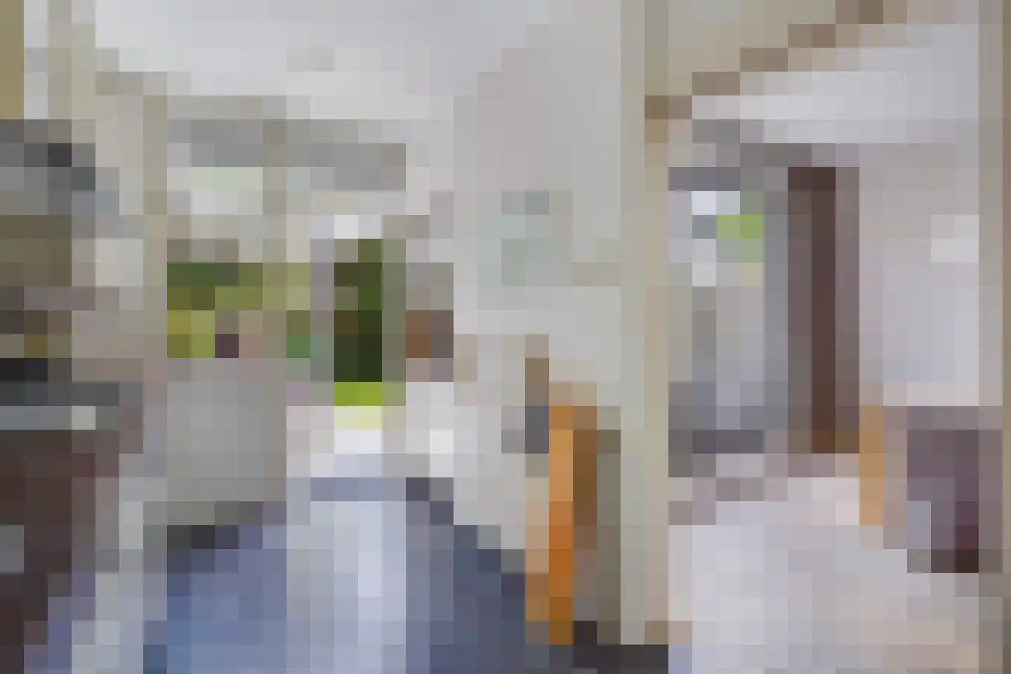 Haanplein 23 Den Haag thumbnail 15