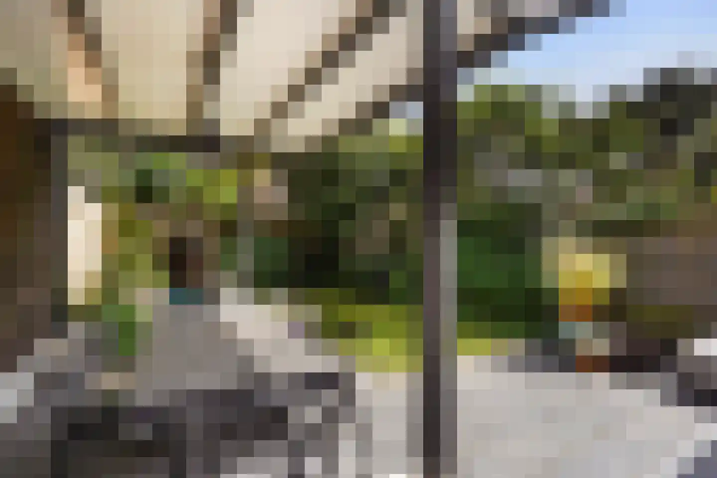 Haanplein 23 Den Haag thumbnail 17