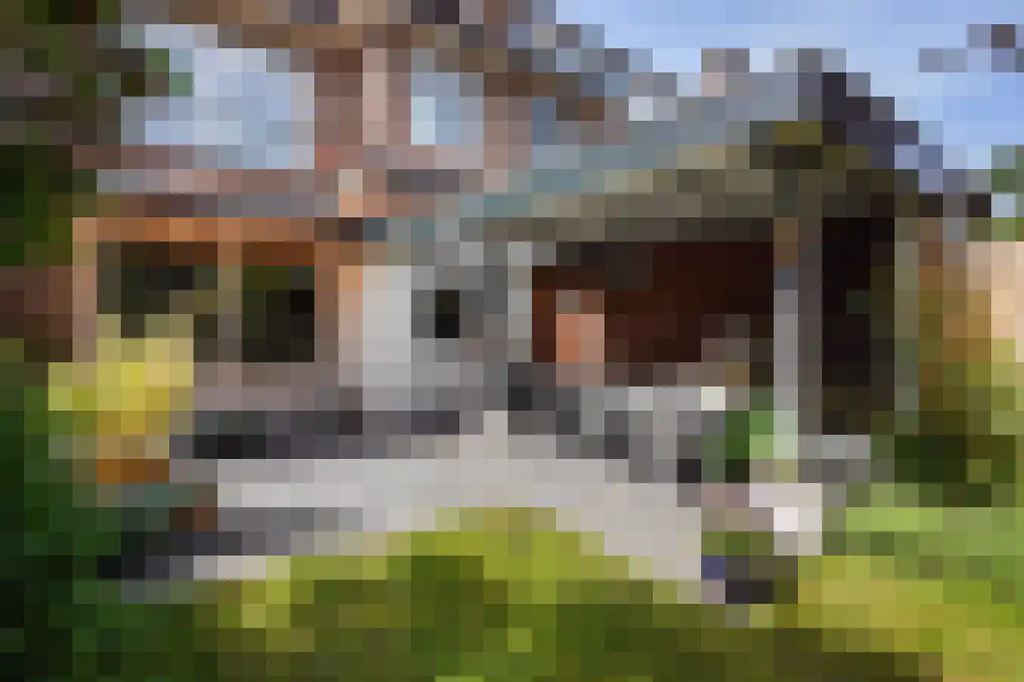 Haanplein 23 Den Haag thumbnail 19