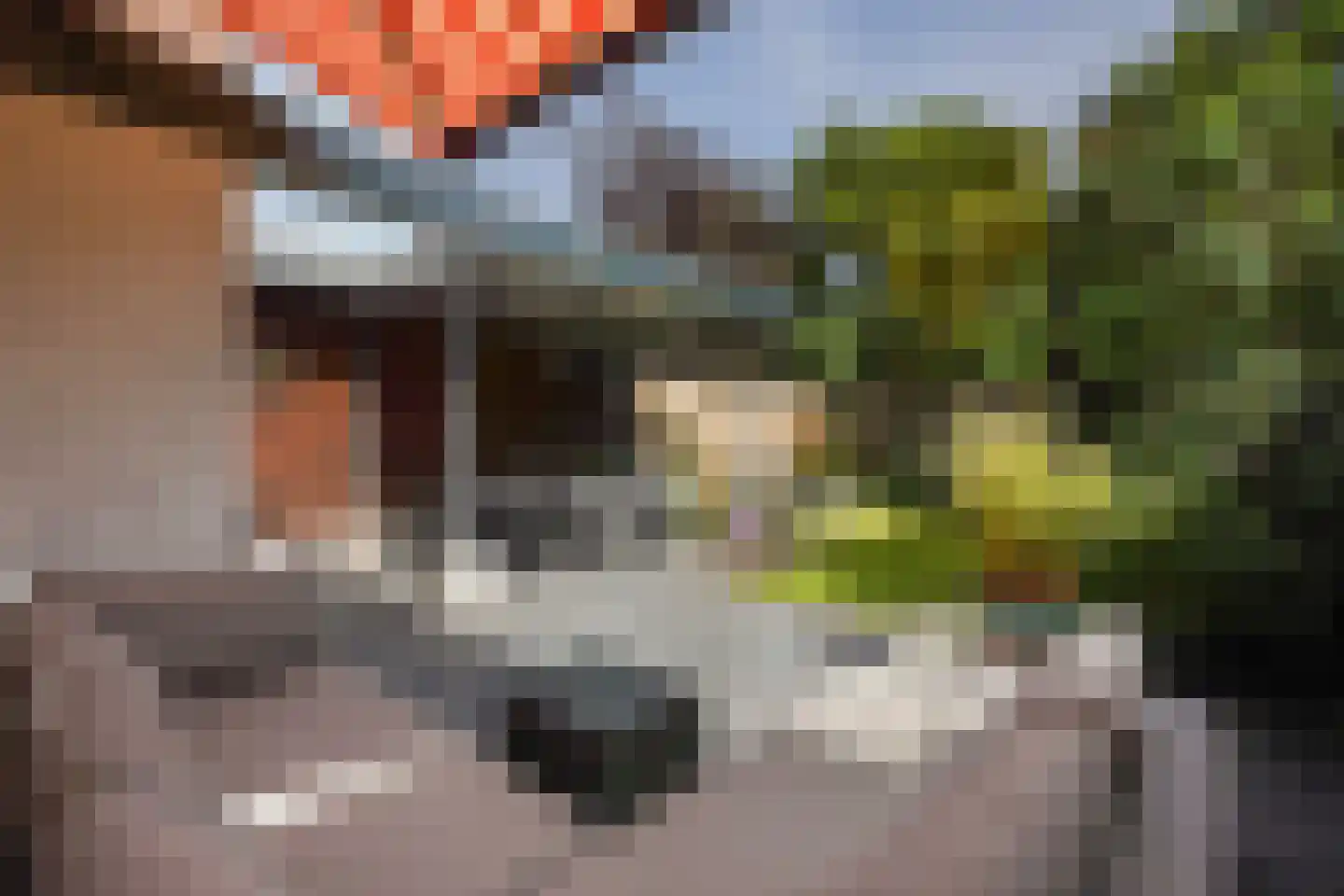 Haanplein 23 Den Haag thumbnail 4