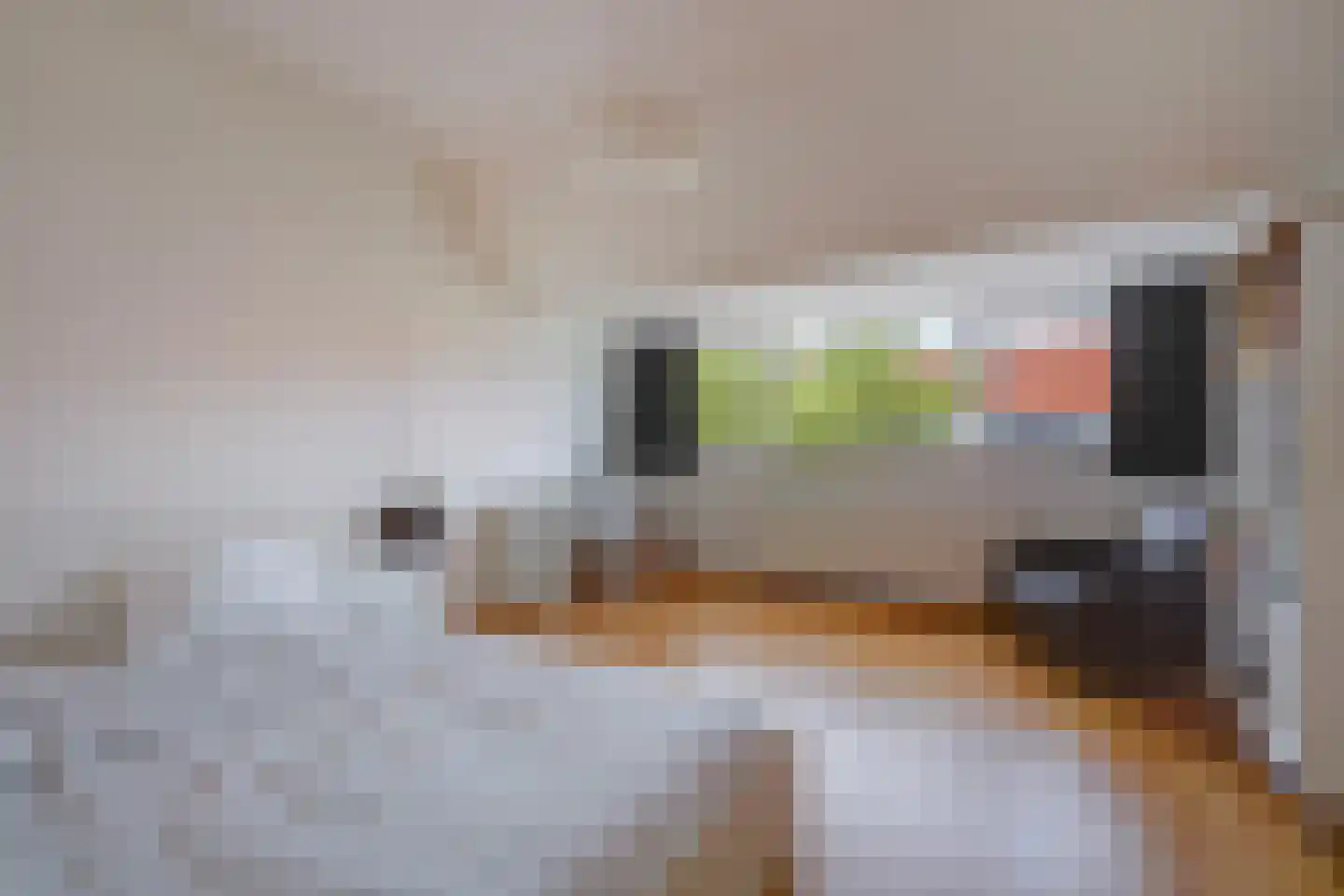 Haanplein 23 Den Haag thumbnail 45