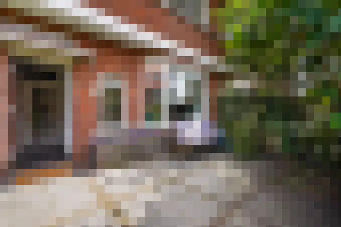 Haanplein 23 Den Haag thumbnail 5