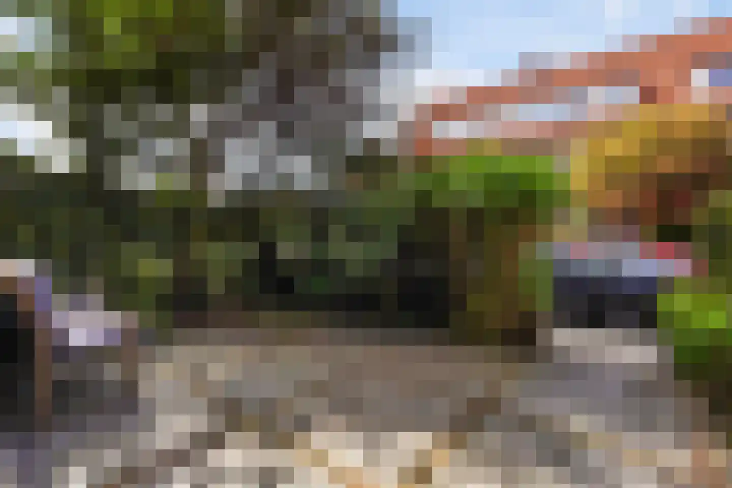 Haanplein 23 Den Haag thumbnail 58