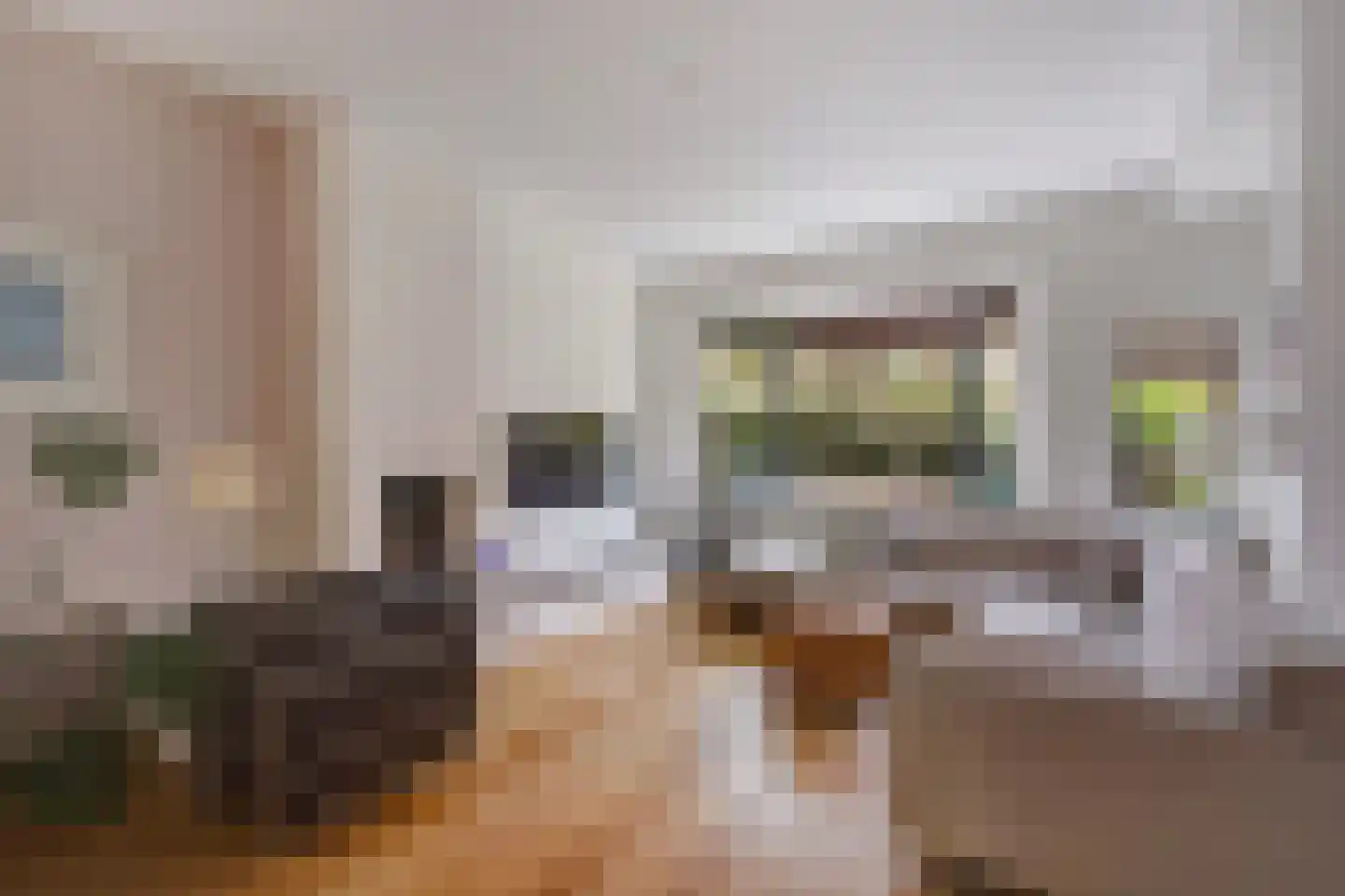 Haanplein 23 Den Haag thumbnail 9