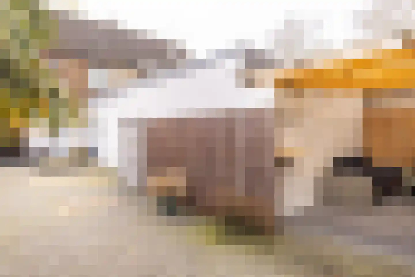 Haanraderweg 233 Kerkrade thumbnail 16