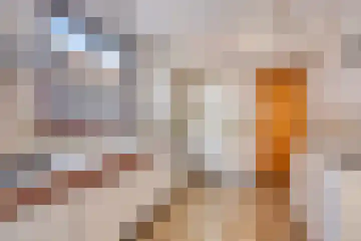 Haanraderweg 239 Kerkrade thumbnail 18