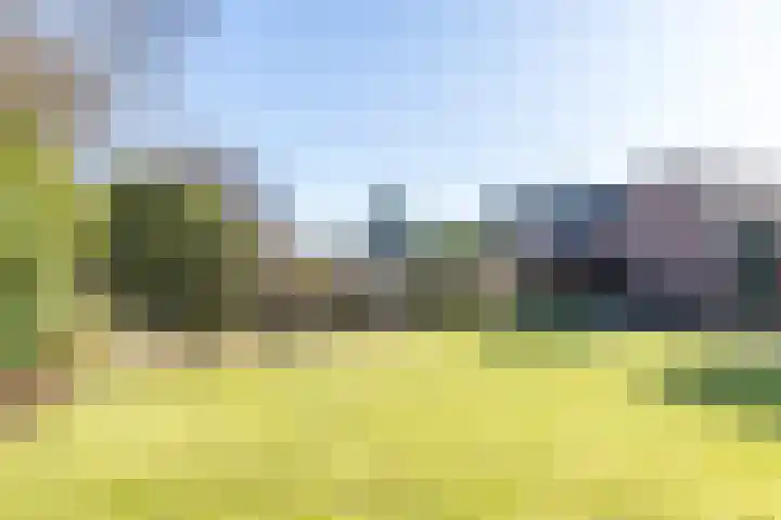 Haansberg 24 Brunssum thumbnail 42
