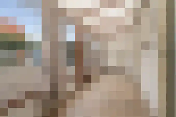 Haansberg 24 Etten-Leur thumbnail 23