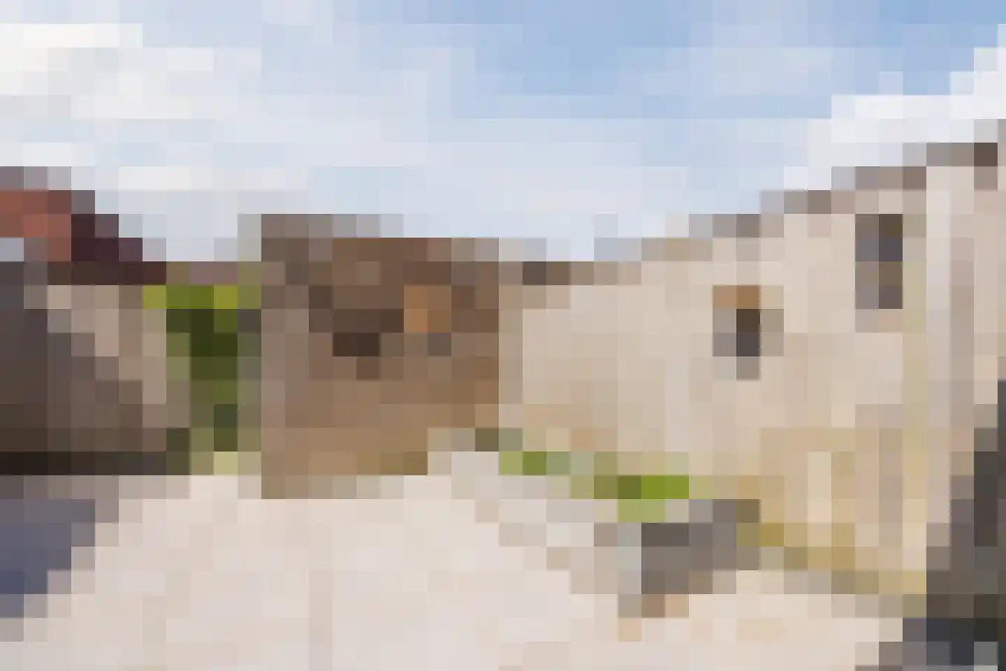 Haansbergseweg 11 Rijen thumbnail 23