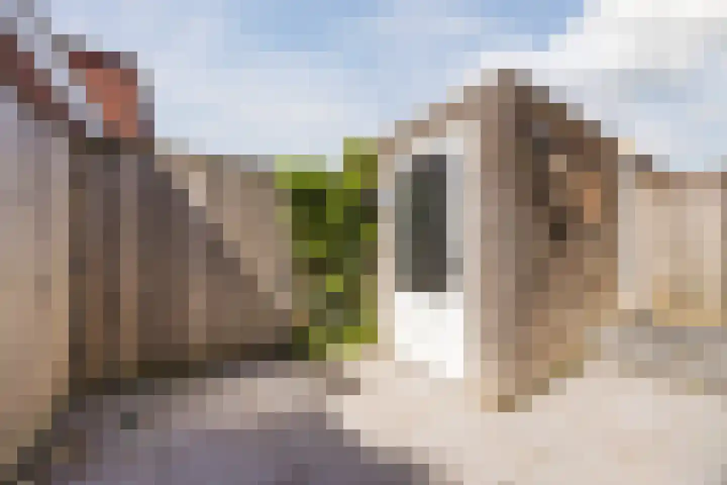 Haansbergseweg 11 Rijen thumbnail 30