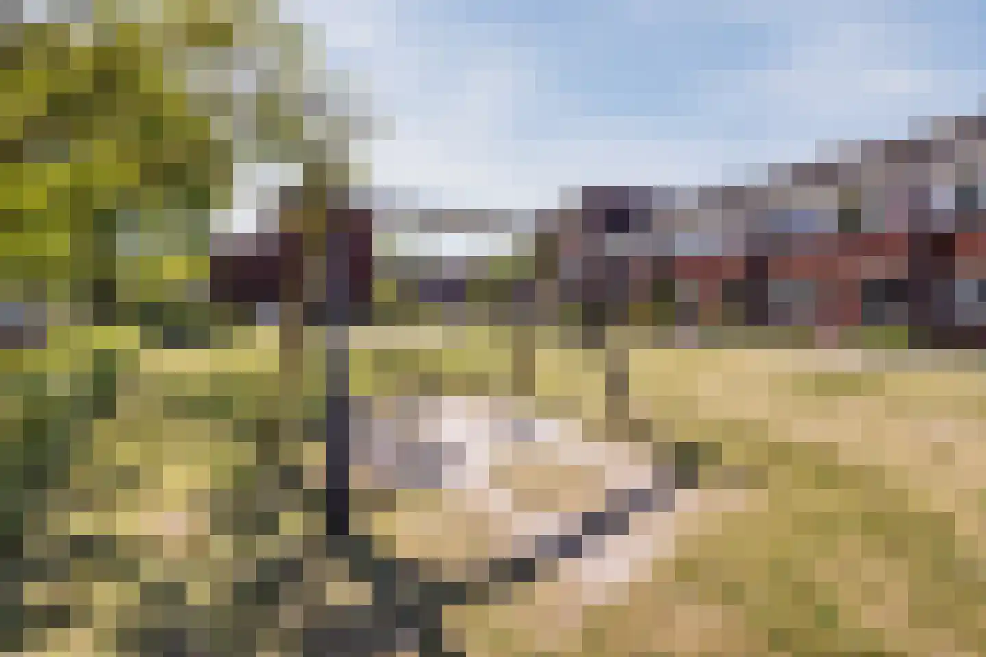 Haansbergseweg 11 Rijen thumbnail 54