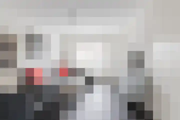 Haansbergseweg 13 Rijen thumbnail 9