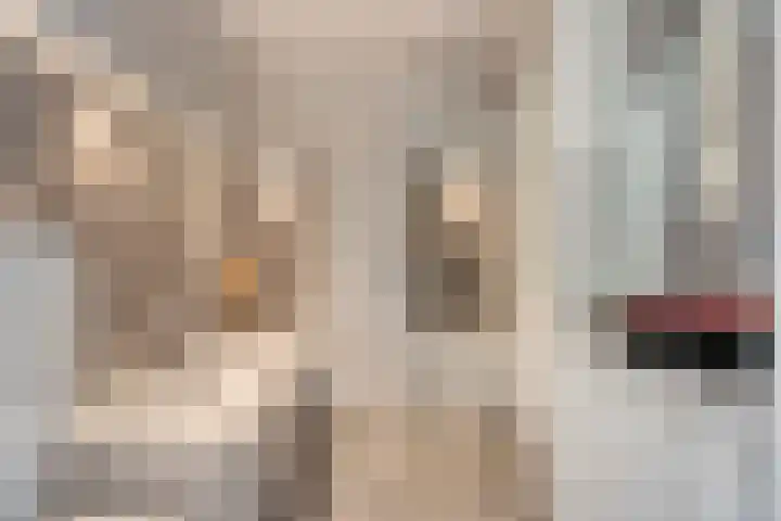 Haansbergseweg 3 A Rijen thumbnail 14