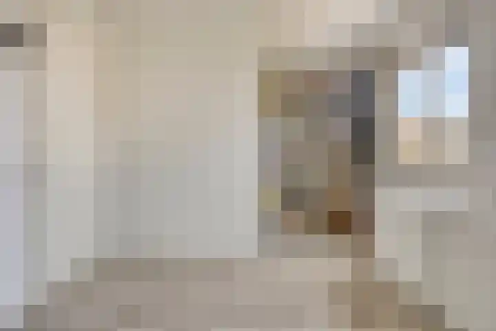 Haansbergseweg 3 A Rijen thumbnail 23