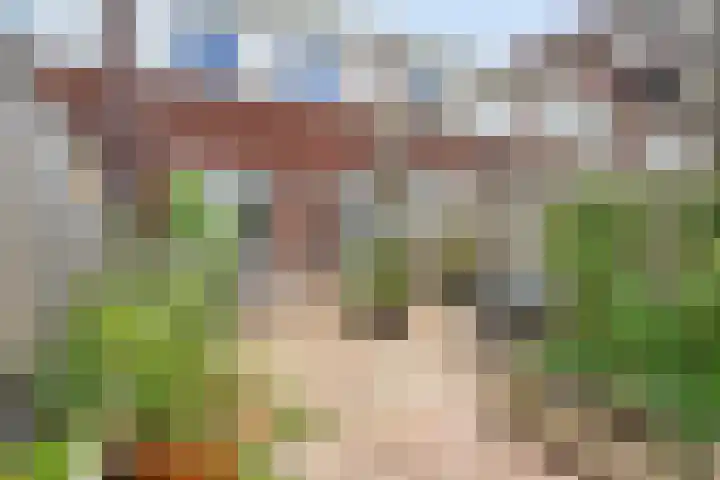 Haansbergseweg 3 A Rijen thumbnail 26