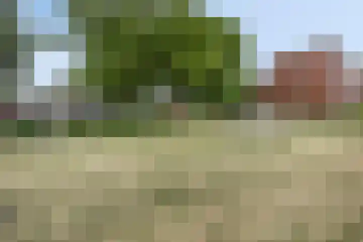 Haansbergseweg 3 A Rijen thumbnail 30
