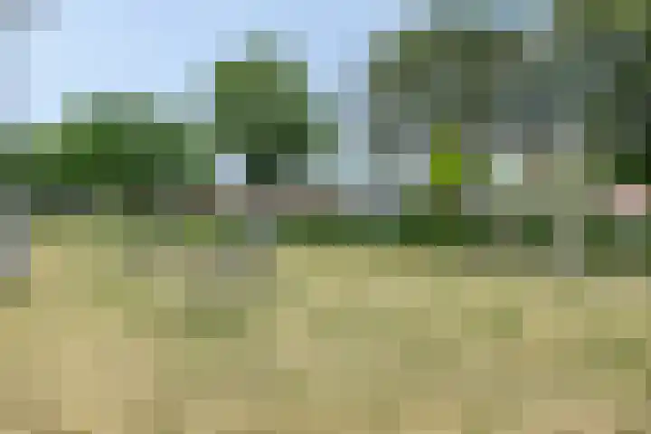 Haansbergseweg 3 A Rijen thumbnail 31