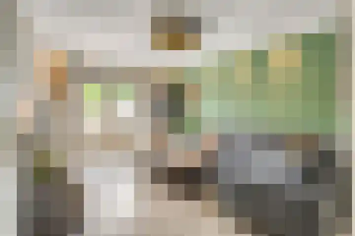 Haansbergseweg 3 A Rijen thumbnail 4