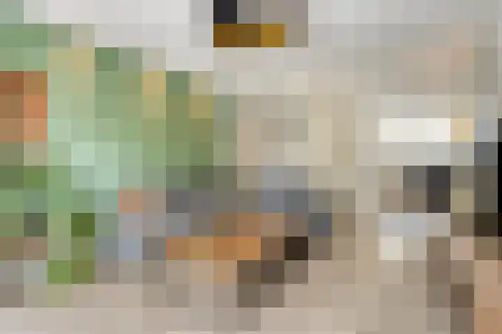 Haansbergseweg 3 A Rijen thumbnail 5