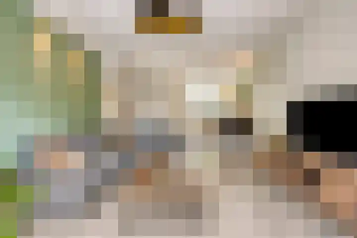 Haansbergseweg 3 A Rijen thumbnail 7