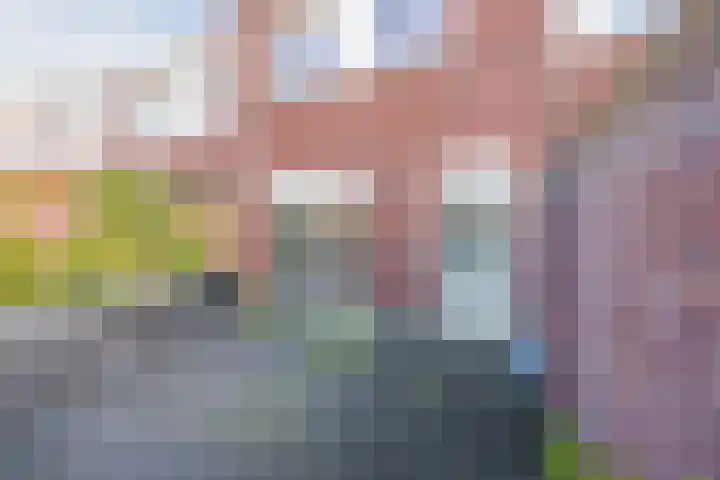 Haansbergseweg 7 Rijen thumbnail 31