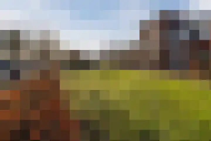 Haansbergseweg 7 Rijen thumbnail 68