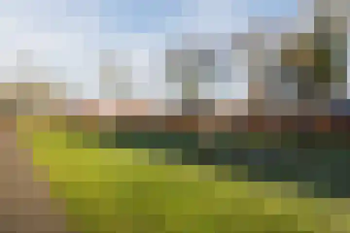 Haansbergseweg 7 Rijen thumbnail 70