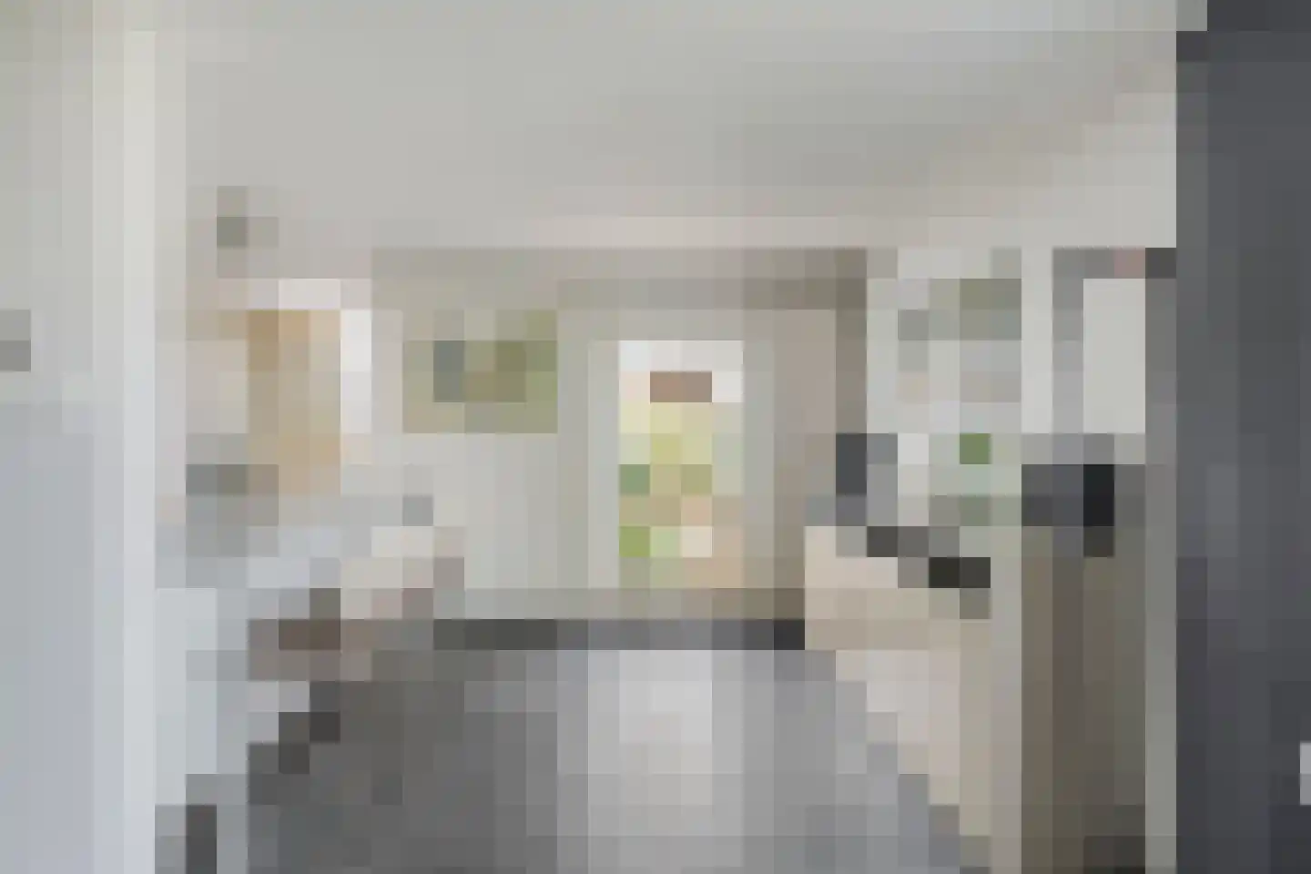 Haanse Hoef 9 Dongen thumbnail 30