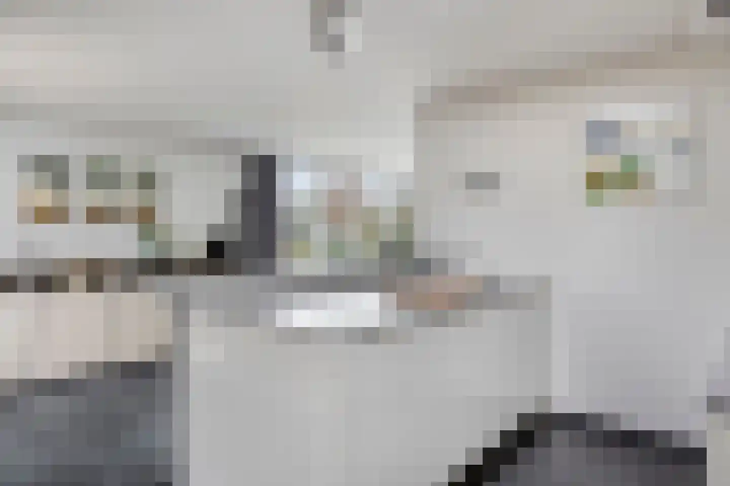 Haanse Hoef 9 Dongen thumbnail 31