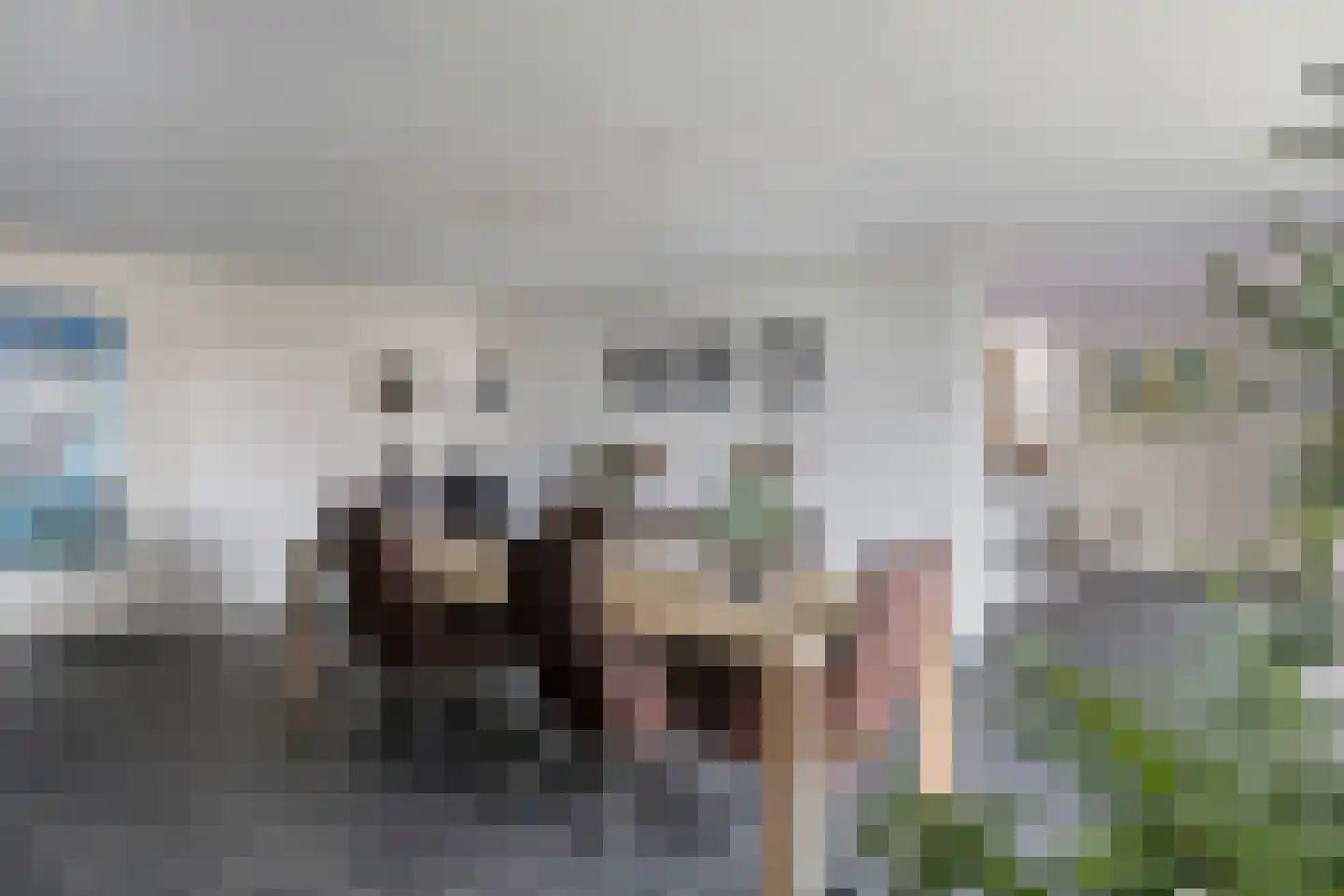 Haanse Hoef 9 Dongen thumbnail 38
