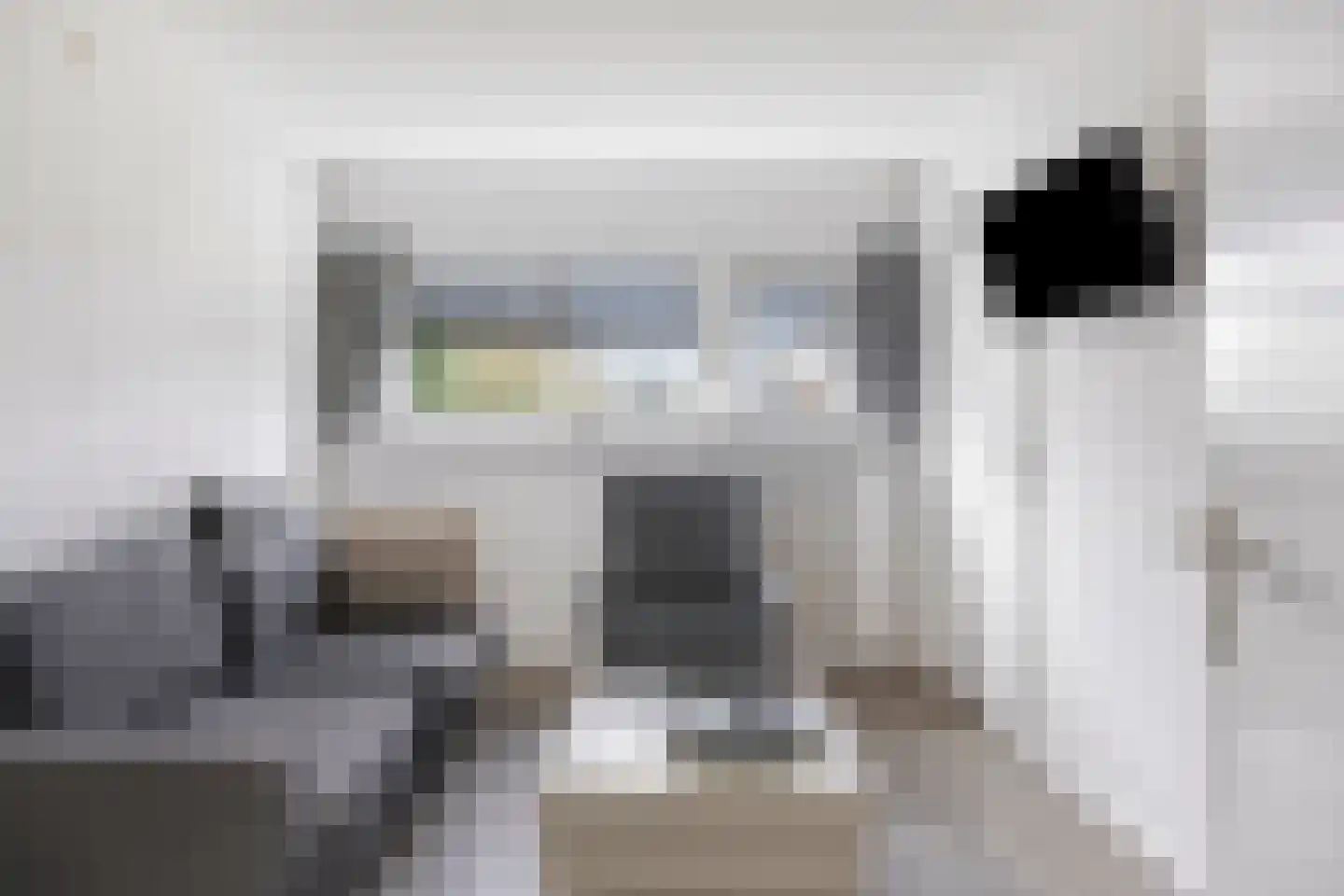 Haanse Hoef 9 Dongen thumbnail 49