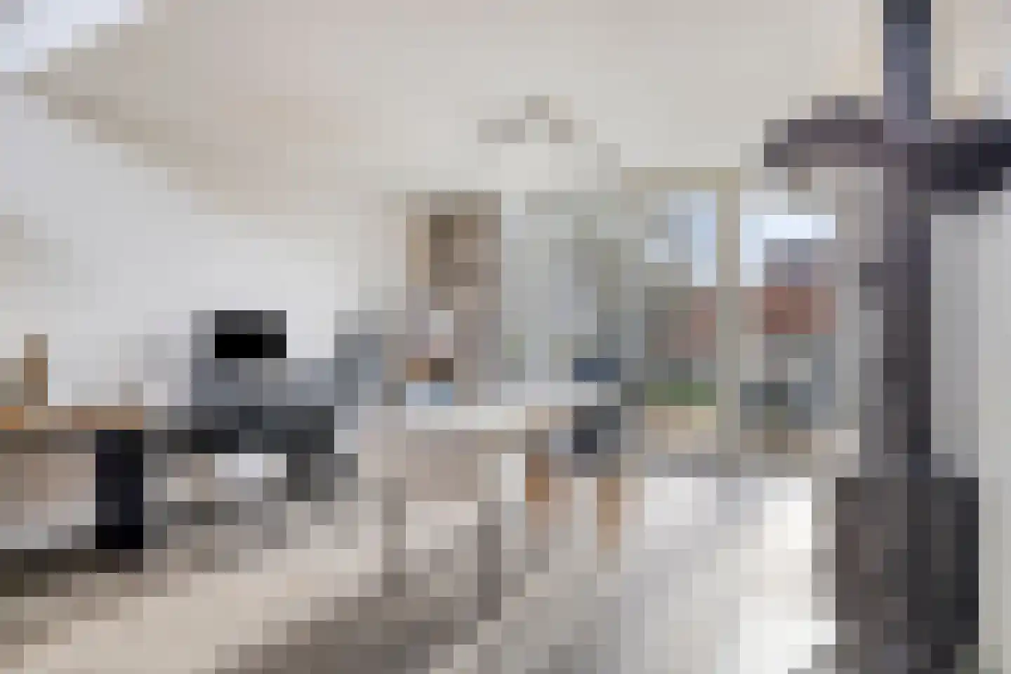 Haanse Hoef 9 Dongen thumbnail 53