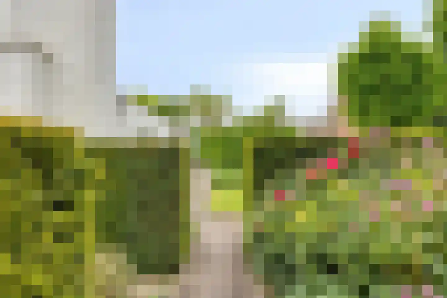 Haanse Hoef 9 Dongen thumbnail 63
