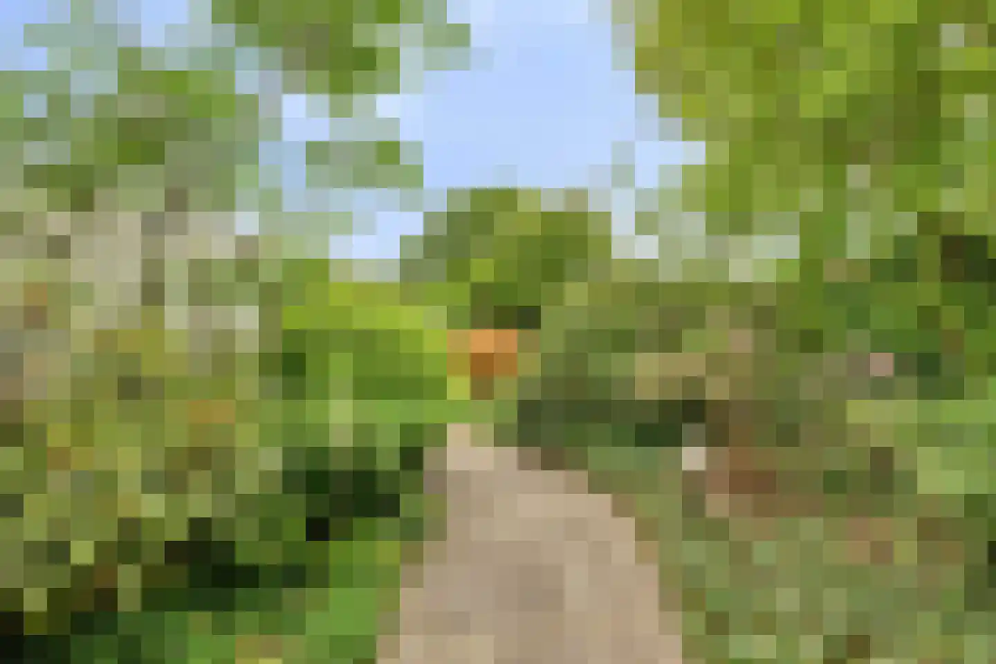 Haanse Hoef 9 Dongen thumbnail 64