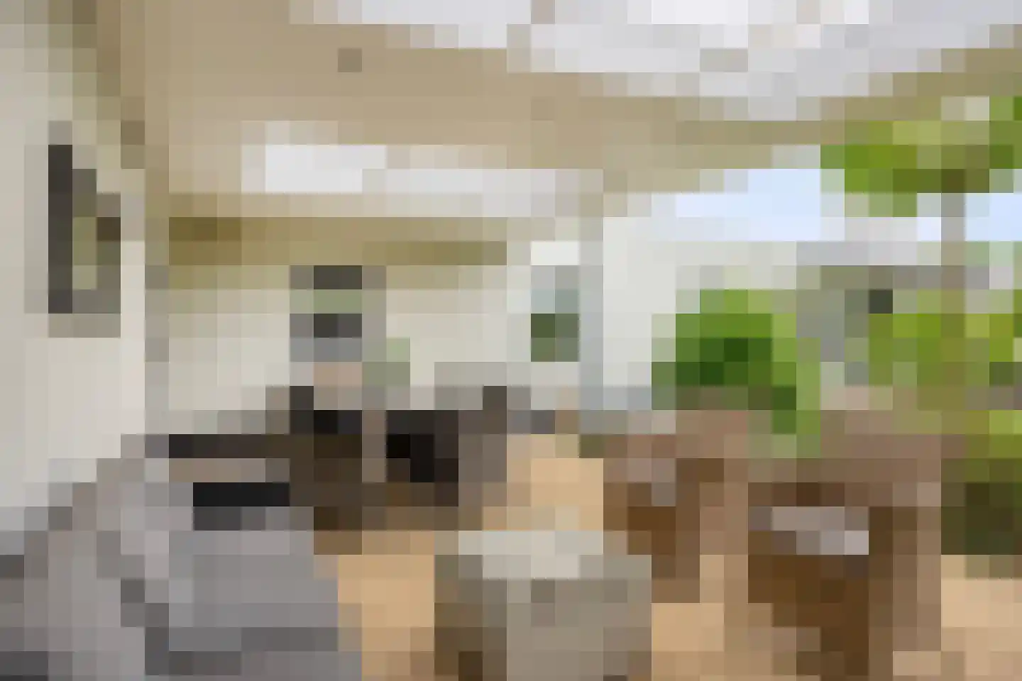 Haanse Hoef 9 Dongen thumbnail 65