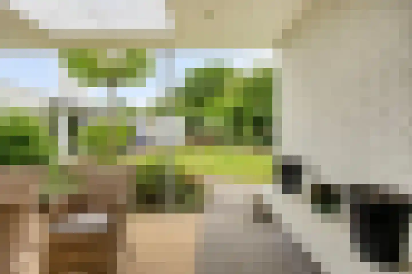 Haanse Hoef 9 Dongen thumbnail 67