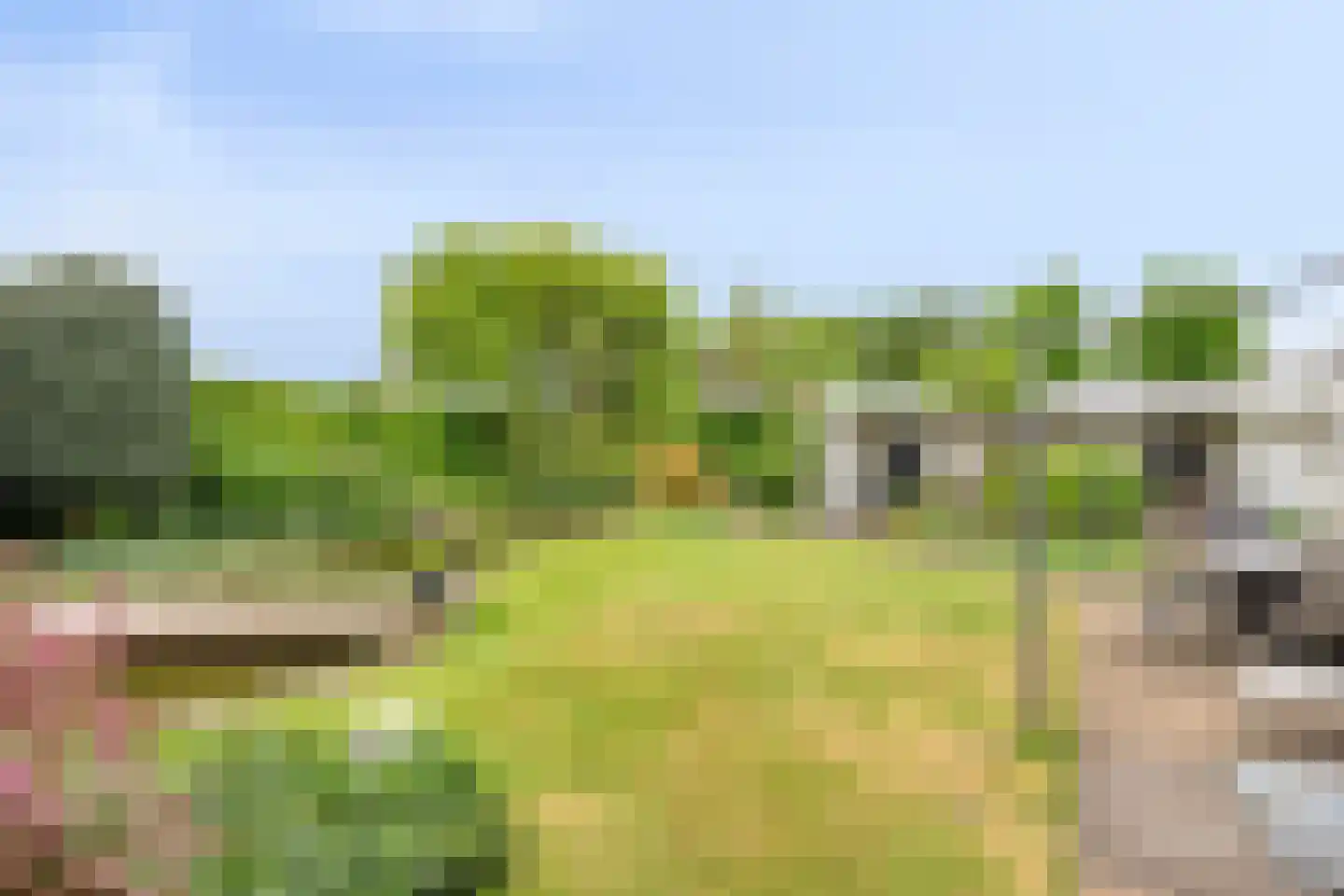Haanse Hoef 9 Dongen thumbnail 73